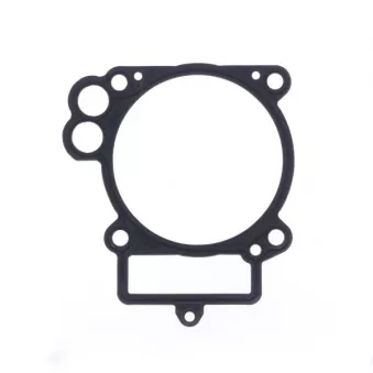 Roulement à aiguilles d'axe de piston ATHENA S410270006072