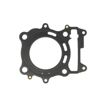 Joint de bloc-cylindres ATHENA S410210001319