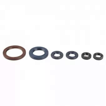 Jeu de joints pour lubrification moteur ATHENA P400270400056