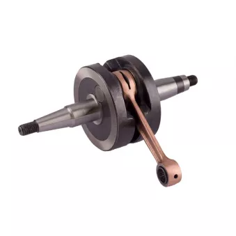 Vilebrequin ATHENA 080015