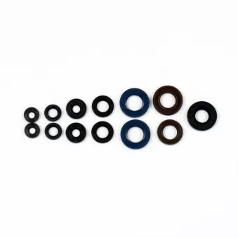 Jeu complet de joints, moteur ATHENA P400105400050