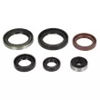 ATHENA P400270400077 - Jeu de joints pour lubrification moteur