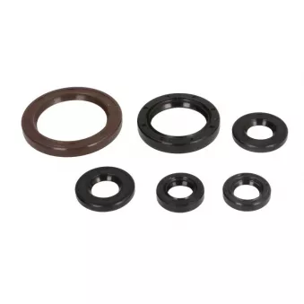 Jeu de joints pour lubrification moteur ATHENA P400270400093