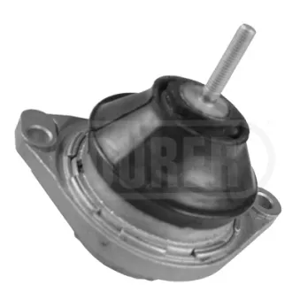 Support moteur avant droit DÜRER OEM 8A0199382A