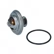 Thermostat WBX 87°-102°C YOUNG PARTS [4254-100]