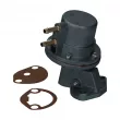Pompe à essence standard pour moteur CT, CZ, WBX YOUNG PARTS [1685-300]