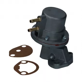 Pompe à essence standard pour moteur CT, CZ, WBX YOUNG PARTS 1685-300