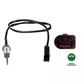 Capteur, température des gaz NGK OEM V10-72-1402