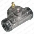DELPHI LW21685 - Cylindre de roue