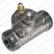 DELPHI LW21756 - Cylindre de roue