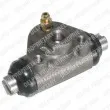 DELPHI LW70029 - Cylindre de roue