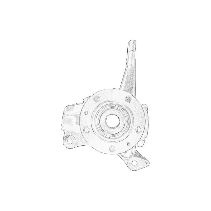 Fusée d'essieu OE 1640790280 - Visuel 1