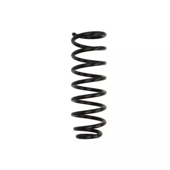 Ressort de suspension MAGNUM TECHNOLOGY [SZ8036MT]