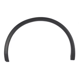 BLIC 5703-04-0036424P - Baguette et bande protectrice, aile arrière droit 