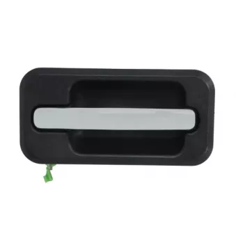 Poignée extérieure de porte arrière gauche BLIC 6010-88-2418403P pour HUMMER HUMMER 6.0 AWD - 329cv