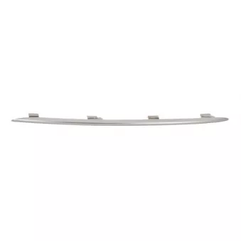 Baguette et bande protectrice, grille de radiateur BLIC OEM A2538857801
