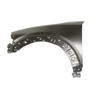 Aile avant gauche BLIC 6504-04-3479311P