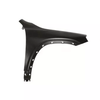 Aile avant droit BLIC 6504-04-3584312P