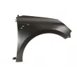 BLIC 6504-04-6001314P - Aile avant droit 