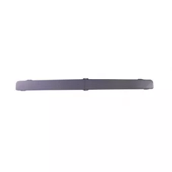 Grille de radiateur PACOL BPA-SC010L