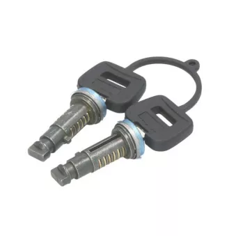 Serrure de porte PACOL DAF-DH-001