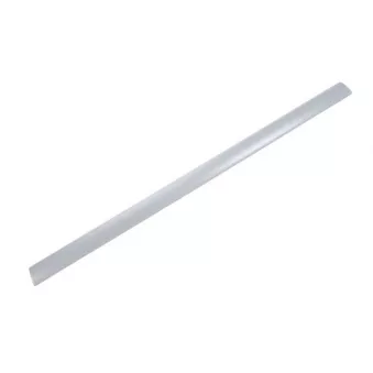 Grille de radiateur PACOL DAF-FP-007