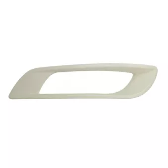 Cadre, projecteur principal PACOL OEM 1880378
