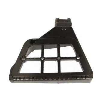 Marchepied PACOL DAF-SB-003R