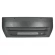 Grille de radiateur PACOL [IVE-FP-006]