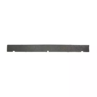 Marchepied avant gauche PACOL MAN-FBC-001