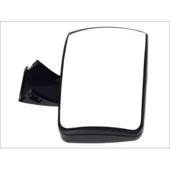 Miroir de rampe PACOL MAN-MR-012 pour MAN F2000 24,403 FNLLC - 400cv