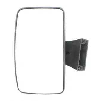 Miroir de rampe PACOL MER-MR-010 pour MAN TGA 26,480 - 480cv