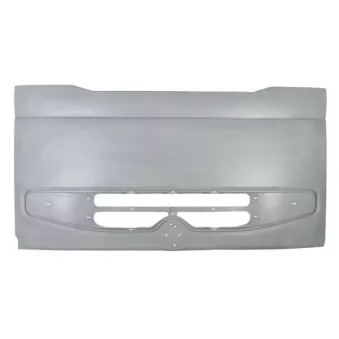 Grille de radiateur PACOL RVI-G-001