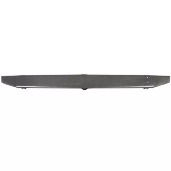 Grille de radiateur PACOL SCA-FP-014