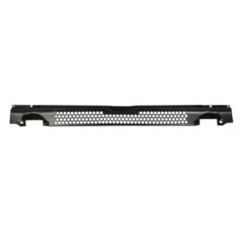 Grille de radiateur PACOL SCA-MG-001