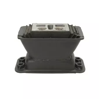 Support moteur S-TR OEM A6452400318