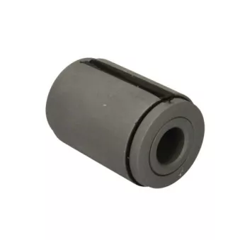 Suspension, ressort à lames S-TR STR-120803