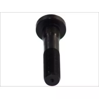 Vis de roue S-TR OEM 1702952