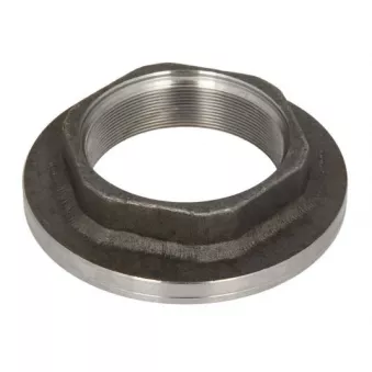 Écrou, bout d'essieu S-TR OEM 1011008100