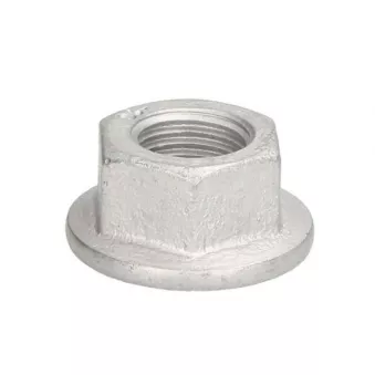 Écrou S-TR OEM 1403411