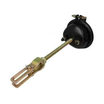 Cylindre de prétension SBP 05-BCT12-K01