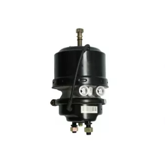 Cylindre de prétension SBP 05-BCT14/24-G05