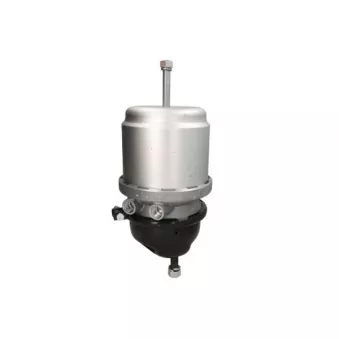Cylindre de prétension SBP 05-BCT20/24-G09 pour MAN TGS 41,540 - 540cv