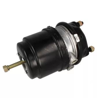 Cylindre de prétension SBP OEM 1365122