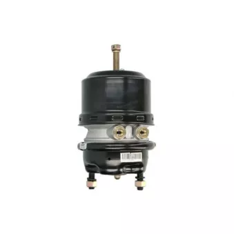 Cylindre de prétension SBP 05-BCT24/24-W04