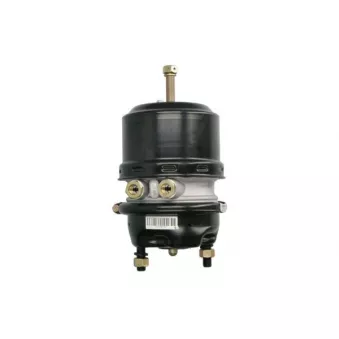 Cylindre de prétension SBP 05-BCT24/24-W05