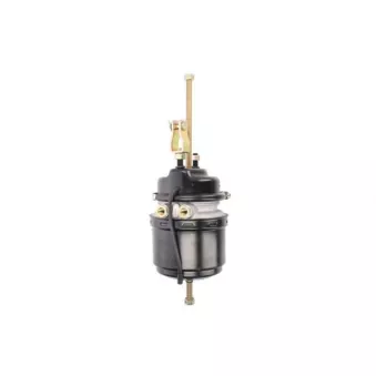 Cylindre de prétension SBP 05-BCT24/30LS-01 pour MAN F2000 23,314 FNLLC - 310cv