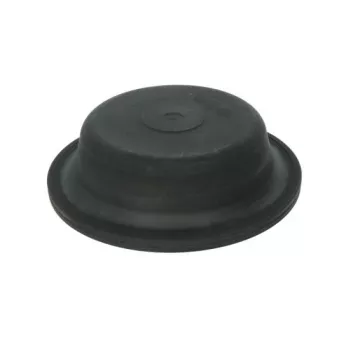 Diaphragme, cylindre de frein SBP OEM 0004233486