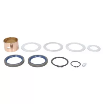 Kit de réparation, arbre à cames de frein SBP 12-RV021 pour RENAULT TRUCKS PREMIUM Distribution 340,18D/T - 339cv