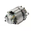 STARDAX STX100050 - Alternateur